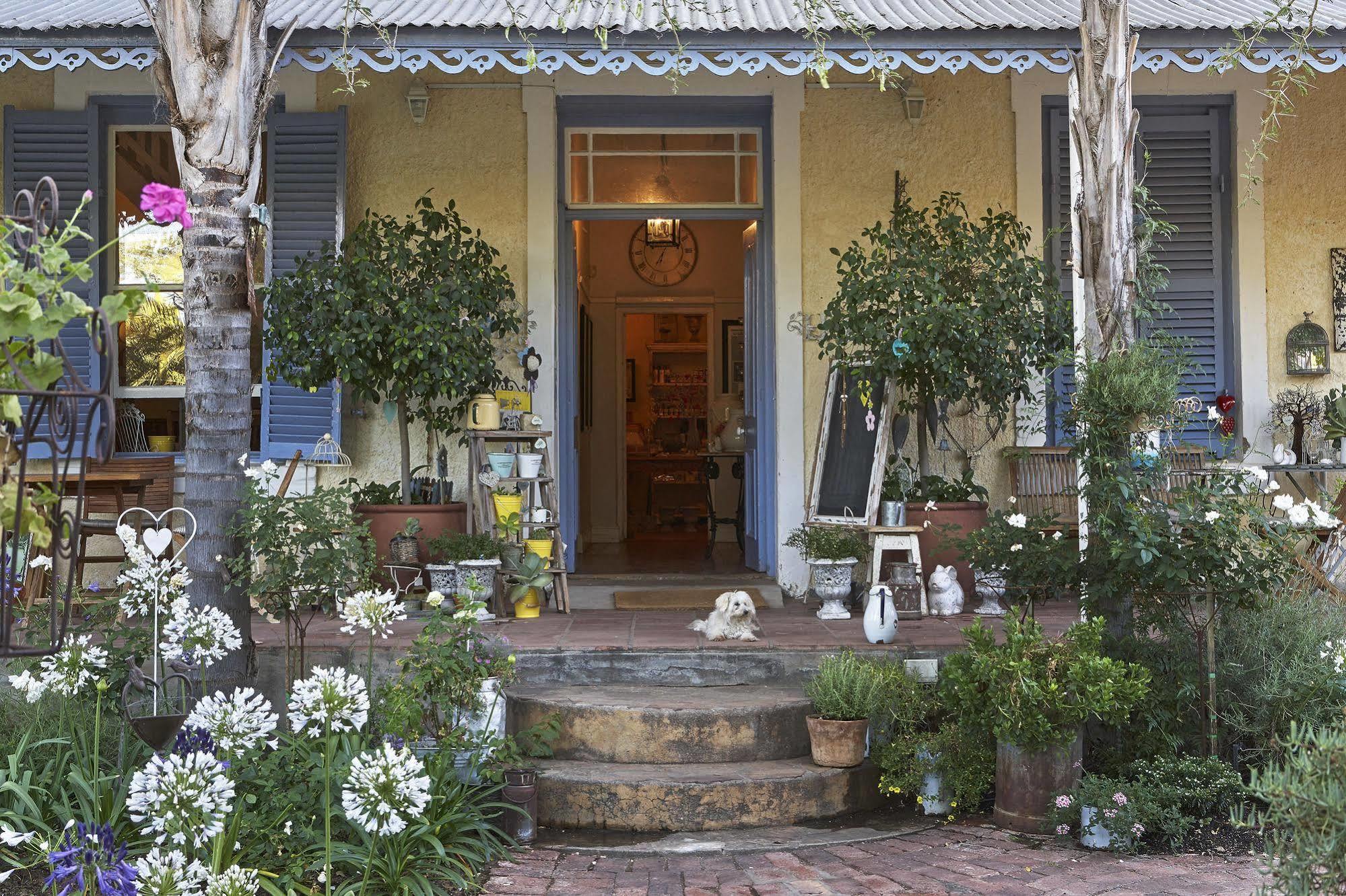 Yellow Aloe Clanwilliam Exterior foto